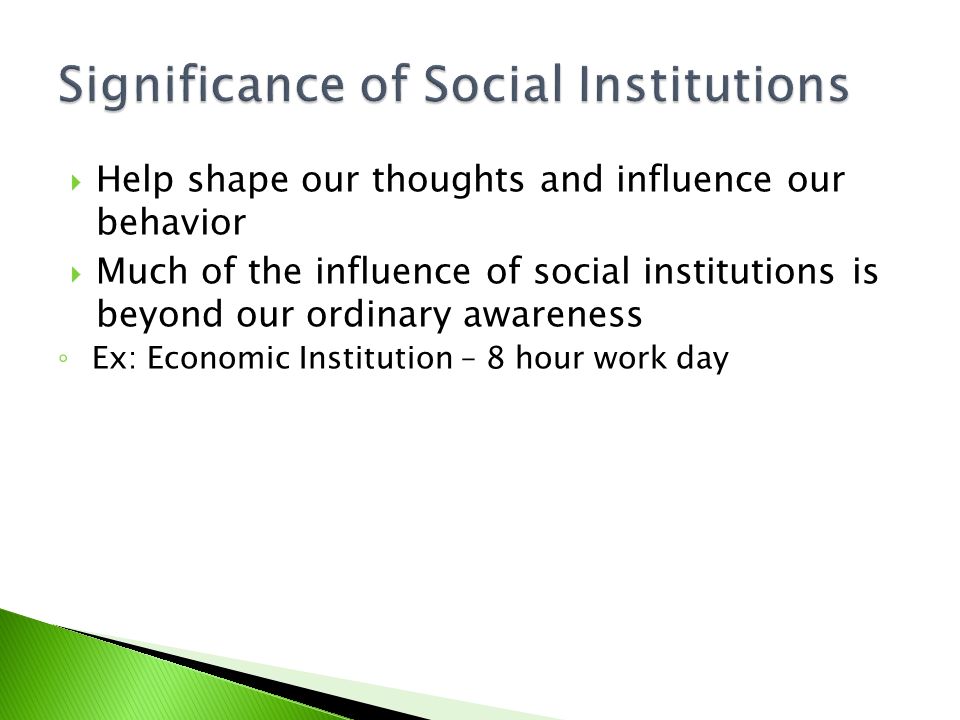 Social organization
